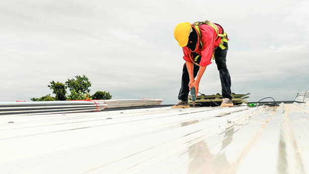 Best Gutter Installation and Repair  in Raubsville, PA