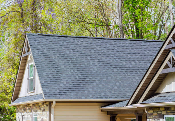 Best Chimney Flashing Repair  in Raubsville, PA